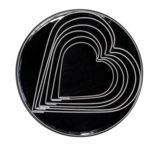 Stainless Steel Heart Cutter Set - 6pc