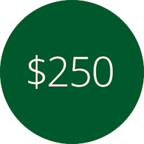 $250 Gift Voucher
