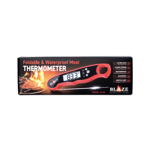 Blaze Thermometer Pen