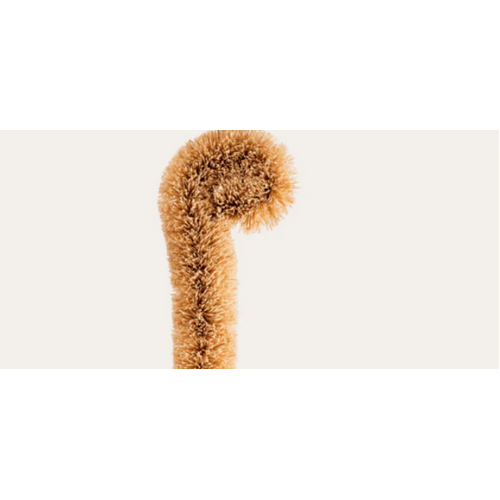 Bottle Cleaning Brush Beechwood